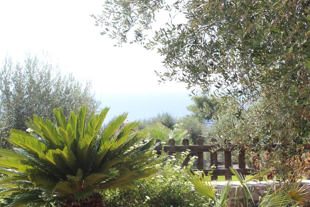 Amoru Bed & Breakfast Castro (Lecce) Exterior foto
